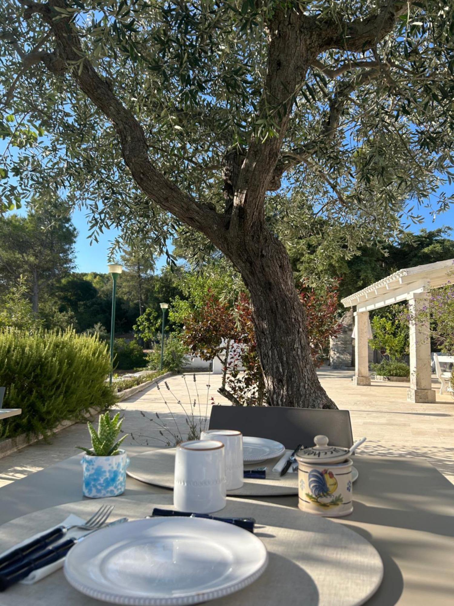 Il Trullo Di Simona Bed & Breakfast Locorotondo Exterior foto